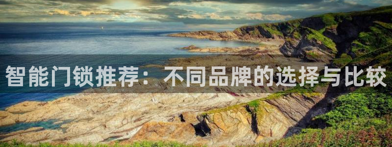 富联娱乐官网下载：智能门锁推荐：不同品牌的选择与比较