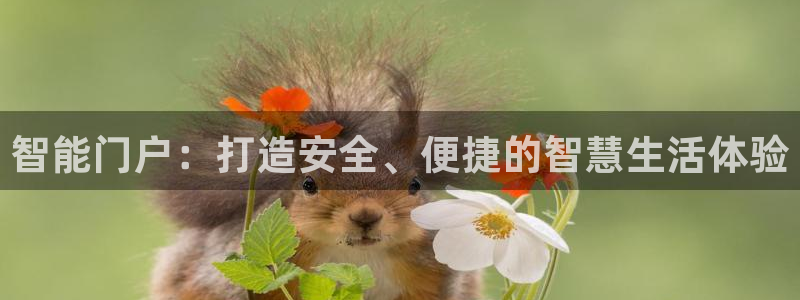 富联娱乐在线注册链接是什么软件：智能门户：打造安全、便捷的智