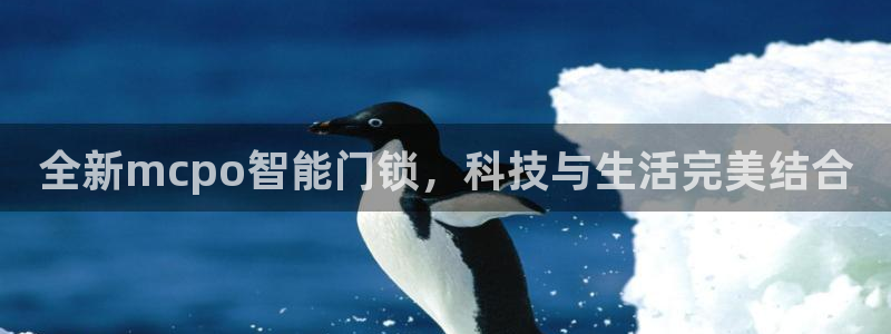 富联娱乐总代理是谁：全新mcpo智能门锁，科技与生活完美结合