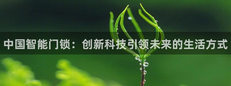 富联娱乐女团是谁的女儿：中国智能门锁：创新科技引领未来的生活
