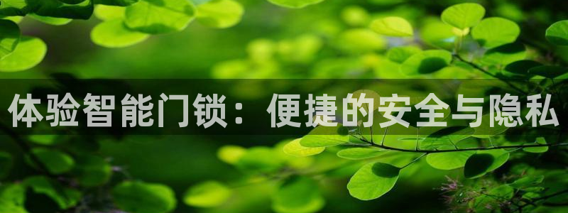 富联娱乐平台注册流程图：体验智能门锁：便捷的安全与隐私