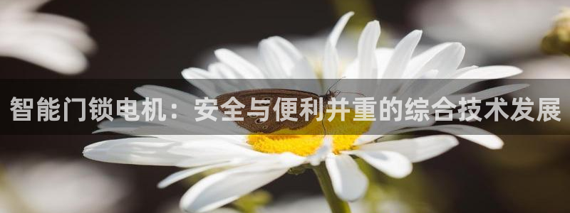 富联娱乐招商天原判官333OO：智能门锁电机：安全与便利并重