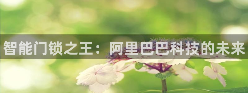 富联娱乐登录测速怎么弄：智能门锁之王：阿里巴巴科技的未来