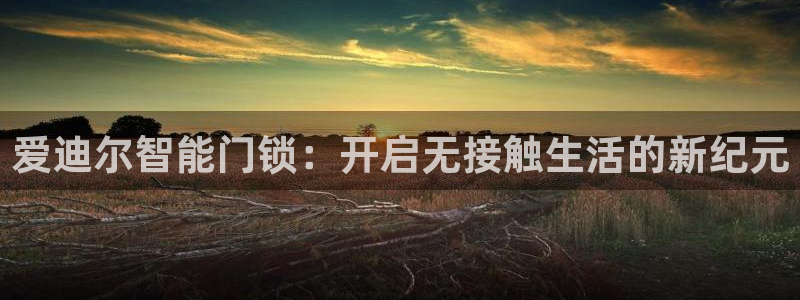 富联娱乐登录链接失败：爱迪尔智能门锁：开启无接触生活的新纪元