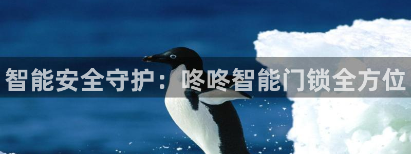 富联娱乐首页登录不了：智能安全守护：咚咚智能门锁全方位