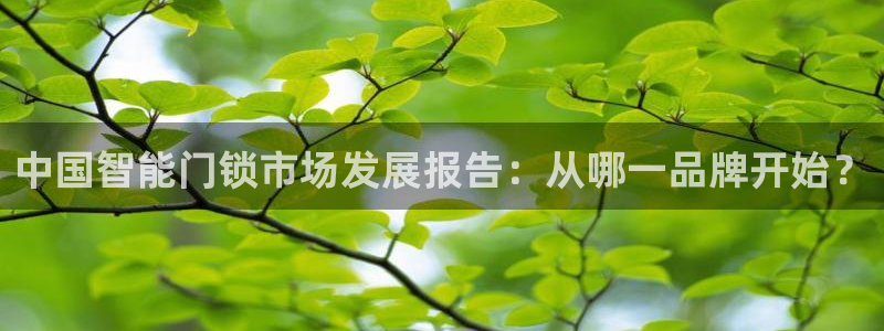 富联娱乐注册数判官333OO：中国智能门锁市场发展报告：从哪