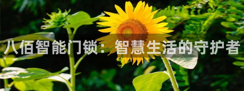富联娱乐总裁简介资料：八佰智能门锁：智慧生活的守护者