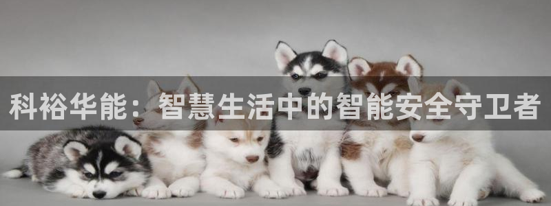 富联娱乐主管是谁呀图片：科裕华能：智慧生活中的智能安全守卫者