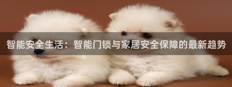 富联2娱乐首页官网：智能安全生活：智能门锁与家居安全保障的最