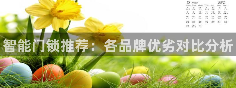 富联娱乐主管是什么职位：智能门锁推荐：各品牌优劣对比分析