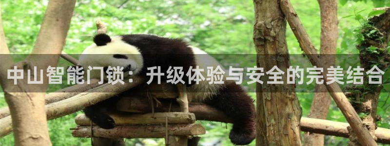 富联娱乐app更新不了：中山智能门锁：升级体验与安全的完美结