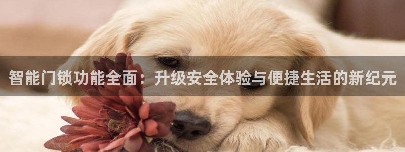 富联娱乐注册然判官333OO：智能门锁功能全面：升级安全体验