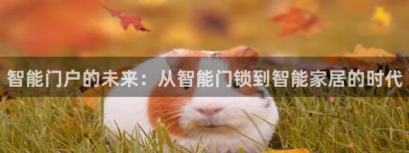 富联娱乐招商主管是谁呀：智能门户的未来：从智能门锁到智能家居