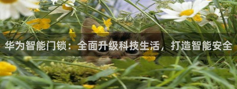 富联娱乐口六七五一38：华为智能门锁：全面升级科技生活，打造