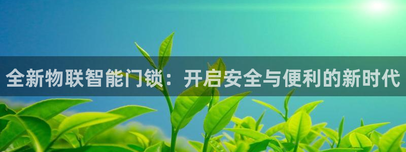 富联娱乐注册正唐老鸭779O3：全新物联智能门锁：开启安全与