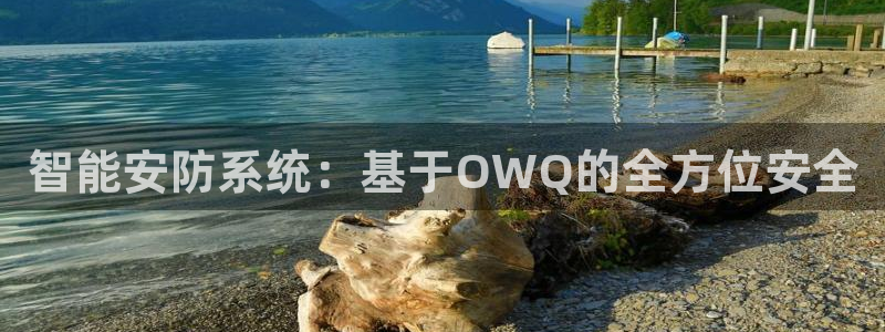 富联娱乐平台登录网址查询：智能安防系统：基于OWQ的全方位安