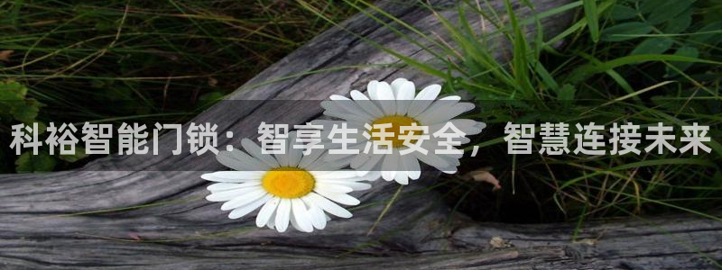 富联娱乐官网下载：科裕智能门锁：智享生活安全，智慧连接未来