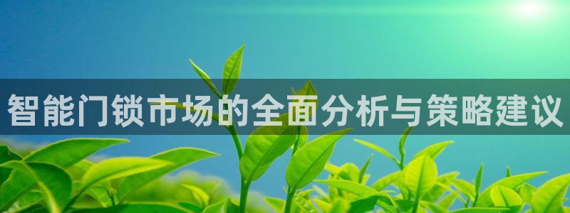 富联娱乐首页登录不上：智能门锁市场的全面分析与策略建议
