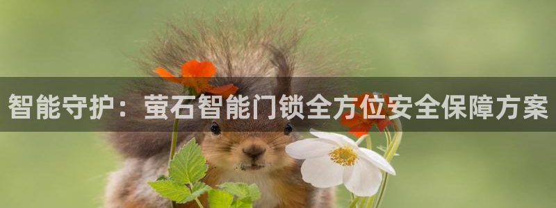 富联娱乐注册目判官333OO：智能守护：萤石智能门锁全方位安