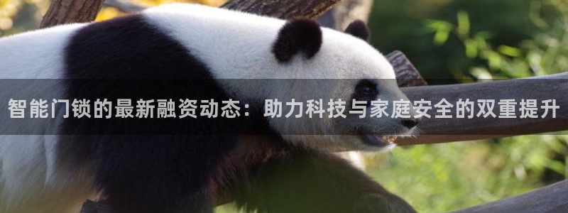 富联娱乐官网注册入口：智能门锁的最新融资动态：助力科技与家庭