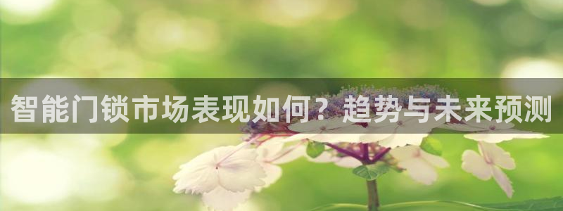 富联娱乐注册地址是哪里：智能门锁市场表现如何？趋势与未来预测