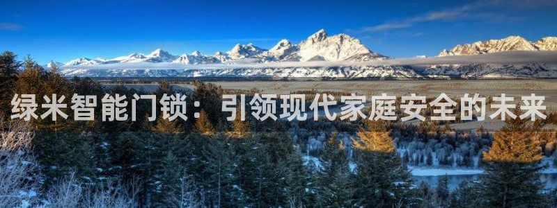 富联娱乐官网首页下载：绿米智能门锁：引领现代家庭安全的未来