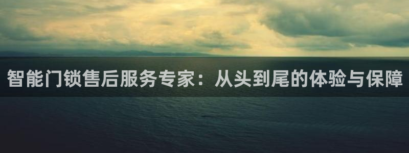 富联娱乐官网入口app：智能门锁售后服务专家：从头到尾的体验