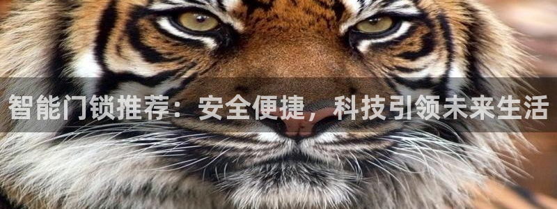 富联娱乐注册审判官333OO：智能门锁推荐：安全便捷，科技引