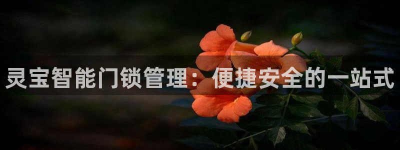富联娱乐测速登录不了：灵宝智能门锁管理：便捷安全的一站式