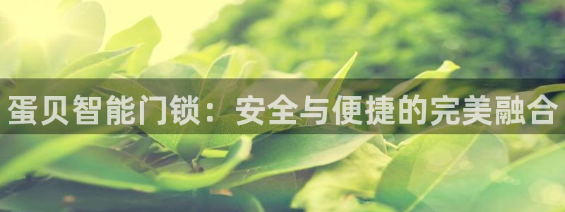 富联娱乐总裁简介资料大全：蛋贝智能门锁：安全与便捷的完美融合