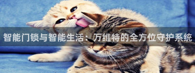 富联娱乐服务站怎么样：智能门锁与智能生活：万维特的全方位守护