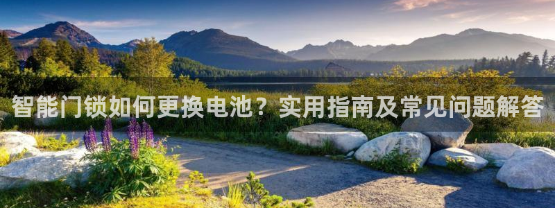 富联娱乐总代理是谁呀：智能门锁如何更换电池？实用指南及常见问