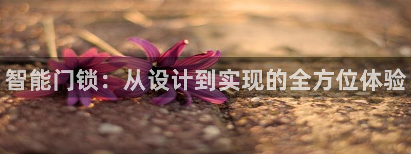 富联2娱乐资讯官网：智能门锁：从设计到实现的全方位体验