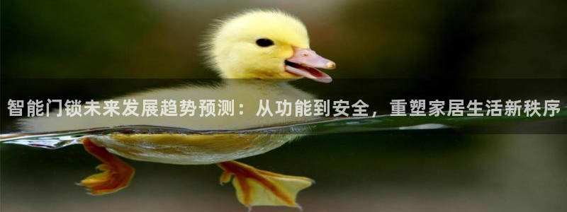 富联娱乐官方网站下载手机版：智能门锁未来发展趋势预测：从功能