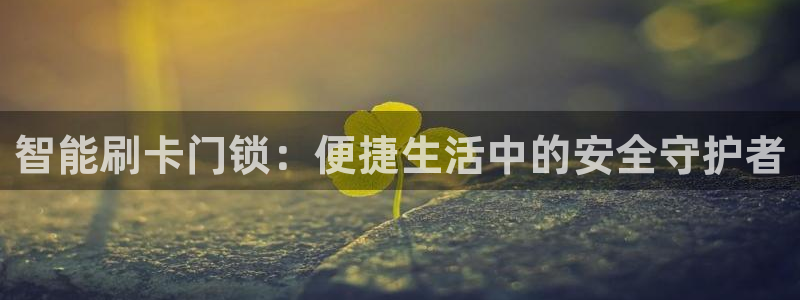 台湾富联娱乐：智能刷卡门锁：便捷生活中的安全守护者