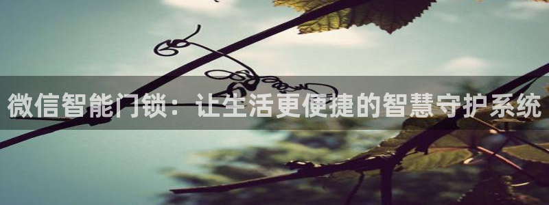 富联娱乐地址查询官网：微信智能门锁：让生活更便捷的智慧守护系