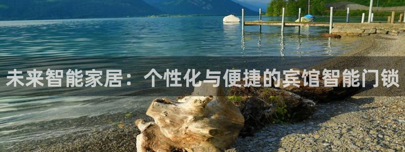 富联娱乐开户流程图片：未来智能家居：个性化与便捷的宾馆智能门