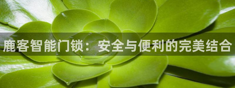 富联娱乐平台下载安装：鹿客智能门锁：安全与便利的完美结合