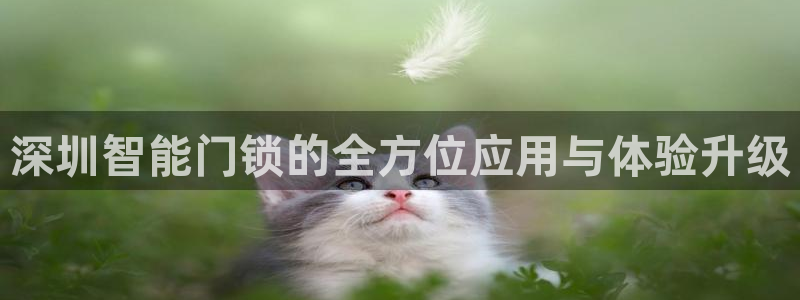 富联娱乐招商通判官333OO：深圳智能门锁的全方位应用与体验