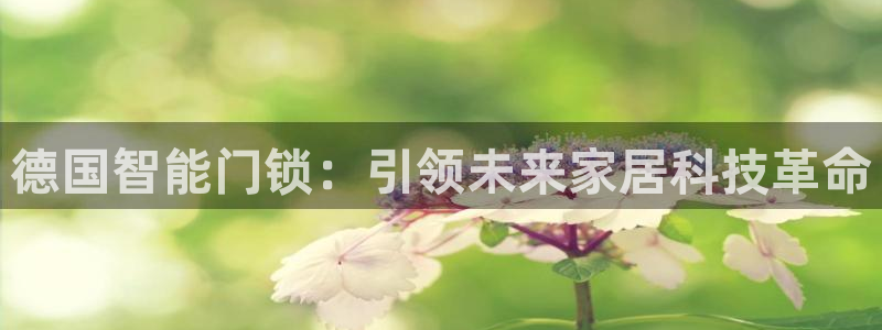 富联娱乐平台客服电话：德国智能门锁：引领未来家居科技革命