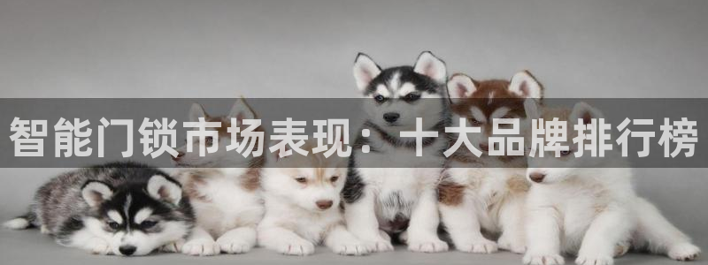 富联娱乐首页官网下载：智能门锁市场表现：十大品牌排行榜