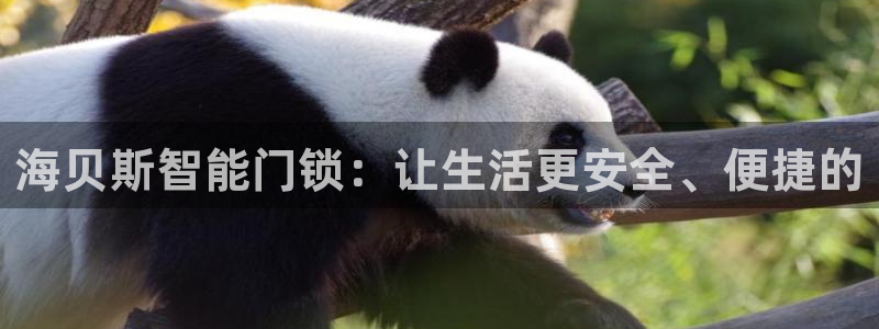 富联娱乐于67五壹叁八：海贝斯智能门锁：让生活更安全、便捷的