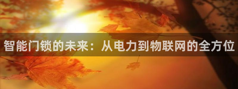 富联娱乐平台网址：智能门锁的未来：从电力到物联网的全方位