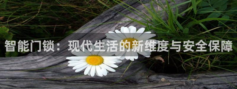 富联娱乐土67五壹叁八：智能门锁：现代生活的新维度与安全保障