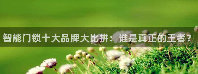 富联娱乐主管地判官333OO：智能门锁十大品牌大比拼：谁是真