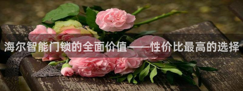 富联2娱乐资讯官网首页：海尔智能门锁的全面价值——性价比最高