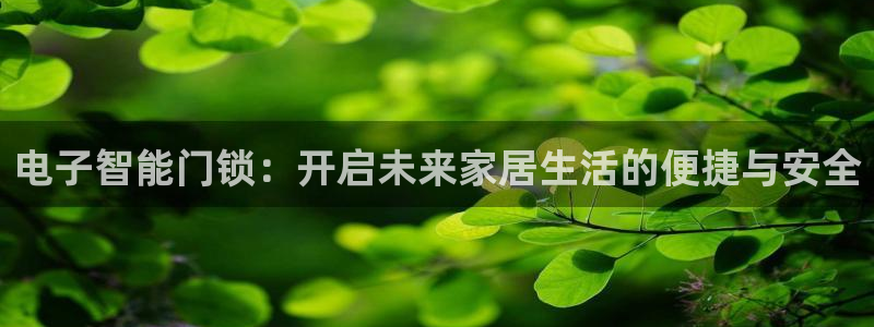 富联娱乐丁六七伍一三八：电子智能门锁：开启未来家居生活的便捷