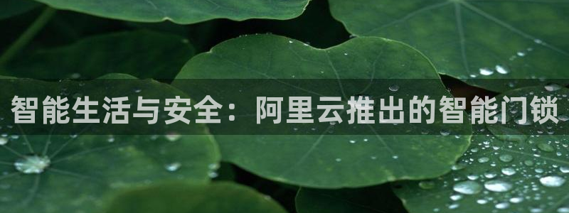 富联娱乐与67五壹叁八：智能生活与安全：阿里云推出的智能门锁