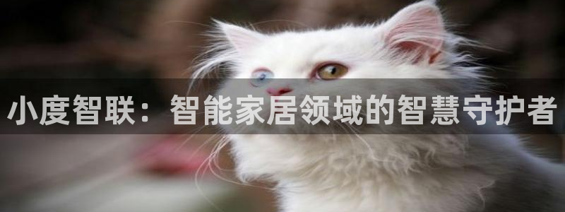 富联娱乐总代理是谁：小度智联：智能家居领域的智慧守护者