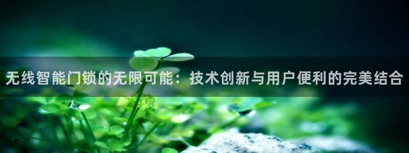 富联娱乐滴qv382223：无线智能门锁的无限可能：技术创新
